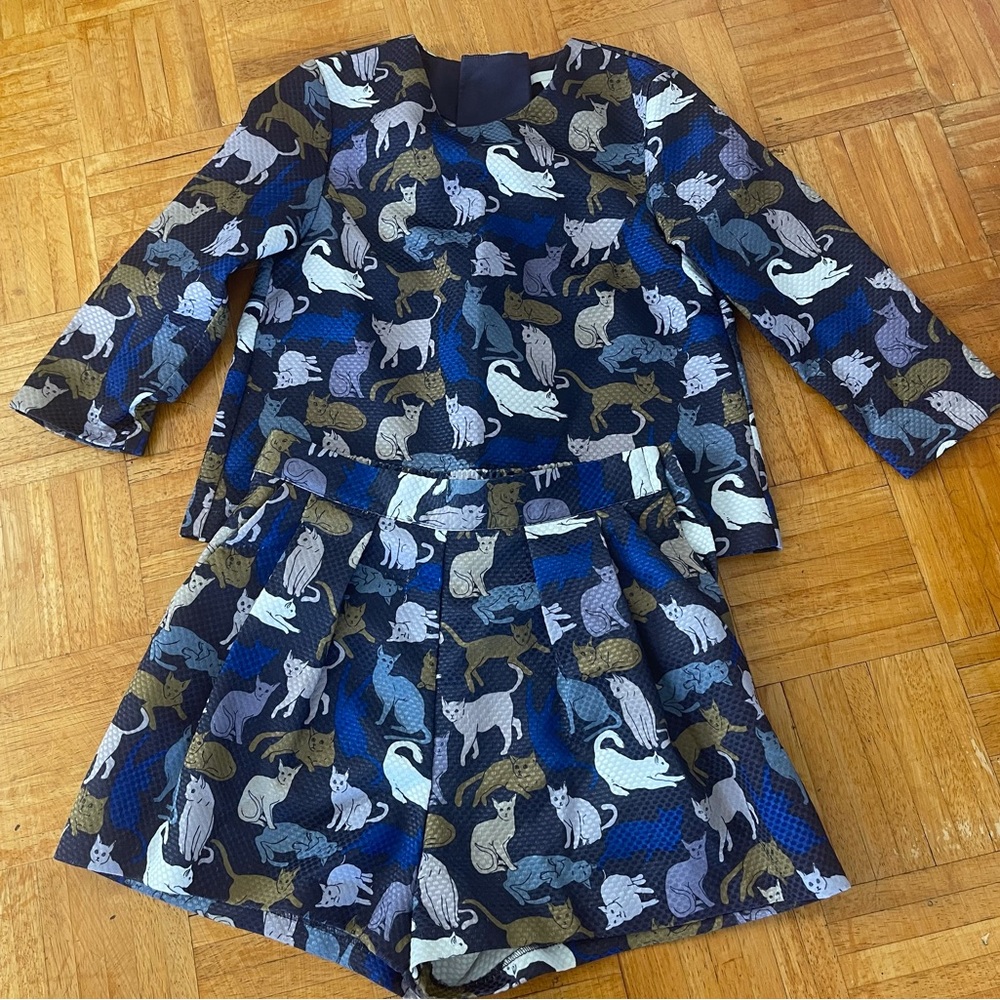 Cat Shirt long sleeves